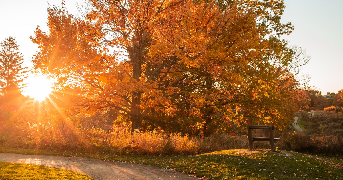 Things to Do in Cleveland, OH this Fall