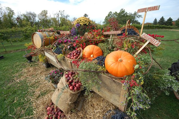 GervasiHarvest_-20152-1.jpg